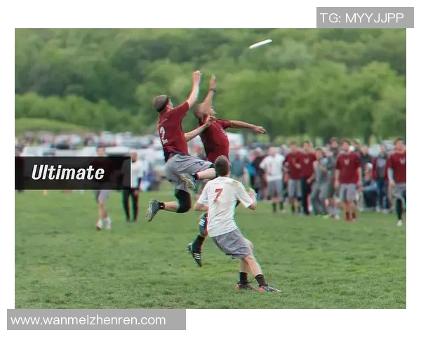 南京飞盘队阵地战打法深度解析与战术应用探讨