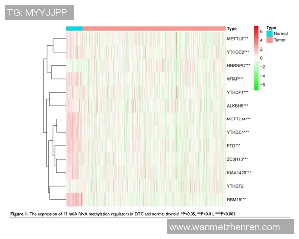 今年运动数据专访刘敏深入探讨CSGO成功背后的策略与经验分享